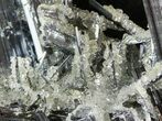 Metallic Stibnite Crystal Cluster with Quartz - China #46038-2